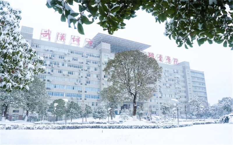 武漢城市職業學院