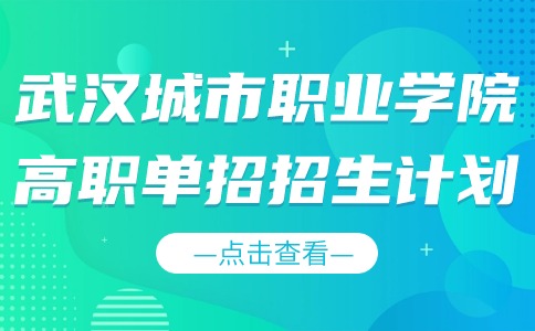 武漢城市職業(yè)學(xué)院高職單招招生計(jì)劃